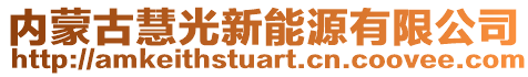 內(nèi)蒙古慧光新能源有限公司