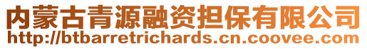 内蒙古青源融资担保有限公司