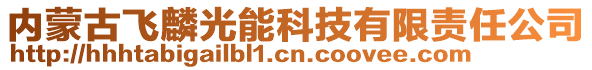 内蒙古飞麟光能科技有限责任公司