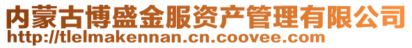 內(nèi)蒙古博盛金服資產(chǎn)管理有限公司