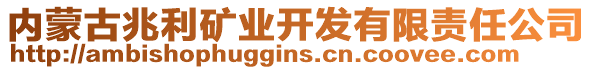 內(nèi)蒙古兆利礦業(yè)開發(fā)有限責(zé)任公司