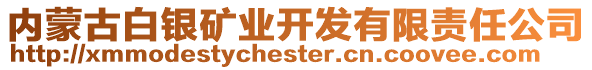 內(nèi)蒙古白銀礦業(yè)開發(fā)有限責(zé)任公司