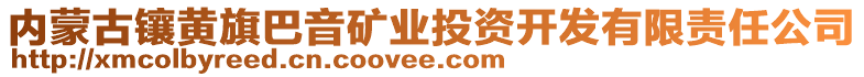 內(nèi)蒙古鑲黃旗巴音礦業(yè)投資開發(fā)有限責(zé)任公司