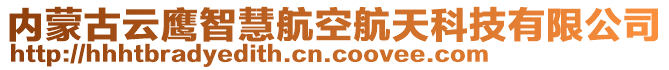 內蒙古云鷹智慧航空航天科技有限公司