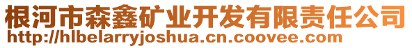 根河市森鑫礦業(yè)開發(fā)有限責任公司