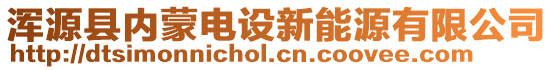 渾源縣內(nèi)蒙電設新能源有限公司