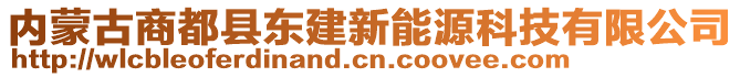 內(nèi)蒙古商都縣東建新能源科技有限公司