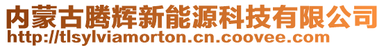 內(nèi)蒙古騰輝新能源科技有限公司