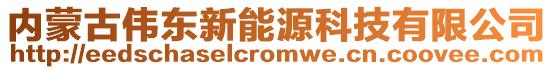 內蒙古偉東新能源科技有限公司