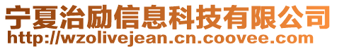 寧夏治勵信息科技有限公司