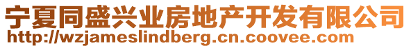 寧夏同盛興業(yè)房地產(chǎn)開發(fā)有限公司