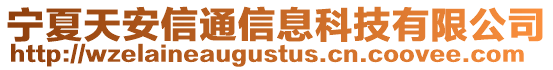 宁夏天安信通信息科技有限公司