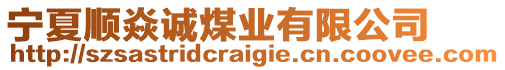 寧夏順焱誠煤業(yè)有限公司