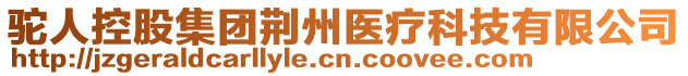 駝人控股集團荊州醫(yī)療科技有限公司