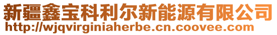 新疆鑫寶科利爾新能源有限公司