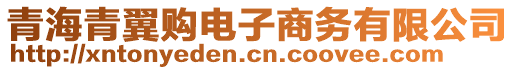 青海青翼購電子商務(wù)有限公司