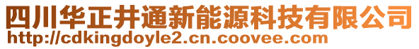 四川华正井通新能源科技有限公司