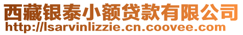 西藏銀泰小額貸款有限公司