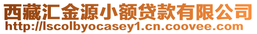 西藏汇金源小额贷款有限公司