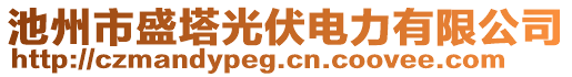 池州市盛塔光伏電力有限公司