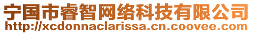 寧國市睿智網(wǎng)絡(luò)科技有限公司