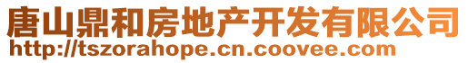 唐山鼎和房地產(chǎn)開發(fā)有限公司