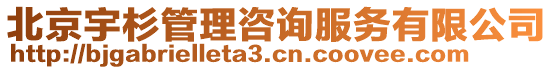 北京宇杉管理咨詢服務(wù)有限公司