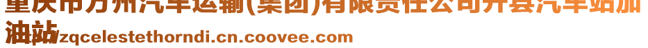 重庆市万州汽车运输(集团)有限责任公司开县汽车站加
油站