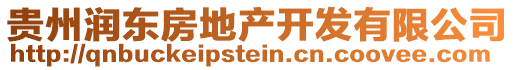 貴州潤東房地產(chǎn)開發(fā)有限公司