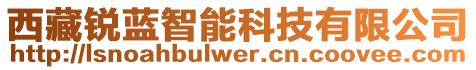 西藏銳藍(lán)智能科技有限公司