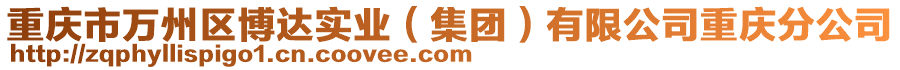 重庆市万州区博达实业（集团）有限公司重庆分公司