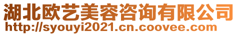 湖北歐藝美容咨詢有限公司