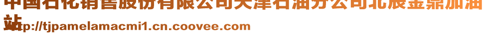 中国石化销售股份有限公司天津石油分公司北辰金鼎加油
站