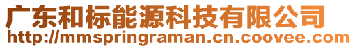 广东和标能源科技有限公司