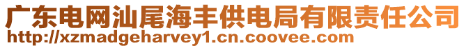 廣東電網(wǎng)汕尾海豐供電局有限責(zé)任公司