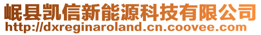 岷縣凱信新能源科技有限公司