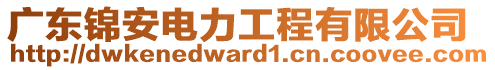 廣東錦安電力工程有限公司