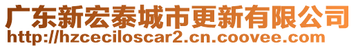 广东新宏泰城市更新有限公司