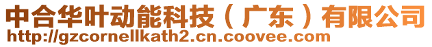 中合華葉動(dòng)能科技（廣東）有限公司