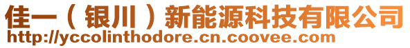 佳一（銀川）新能源科技有限公司