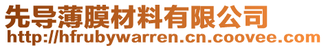 先導(dǎo)薄膜材料有限公司