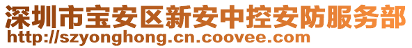 深圳市寶安區(qū)新安中控安防服務(wù)部